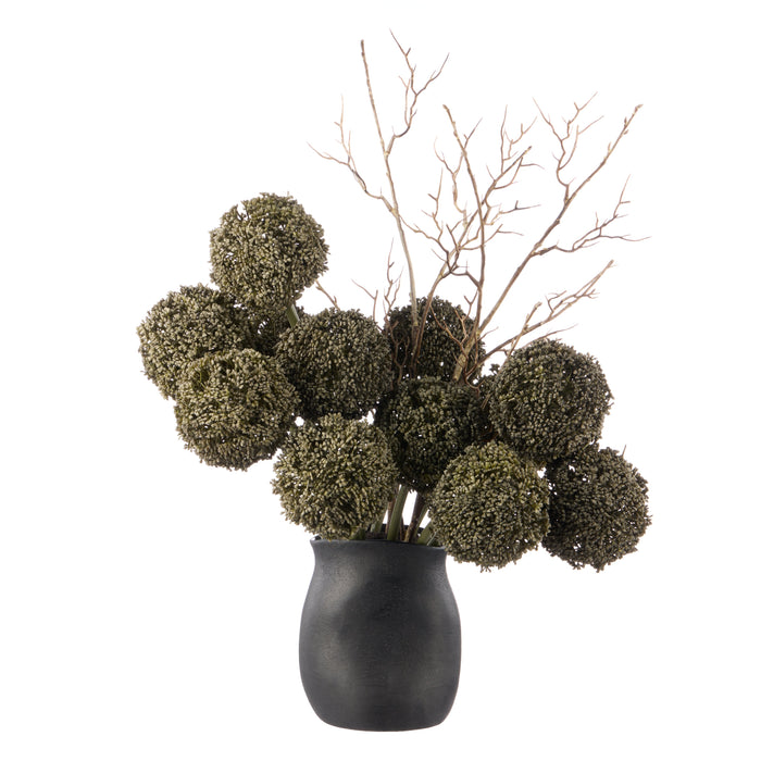 Rogue Allium Spray - Maliah Pot Grey
