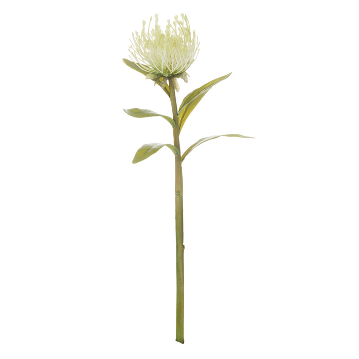 Rogue Pincushion Stem Cream