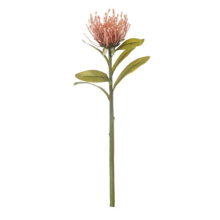 Rogue Pincushion Stem Pink