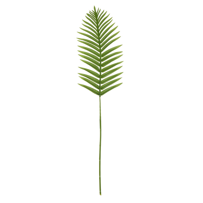 Rogue Fan Palm Leaf Green