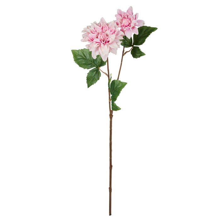Rogue Dahlia Bud Stem Pink