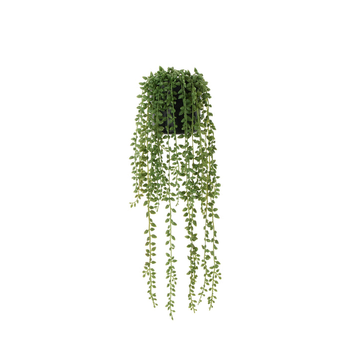 Rogue String of Teardrops - Garden Pot Green