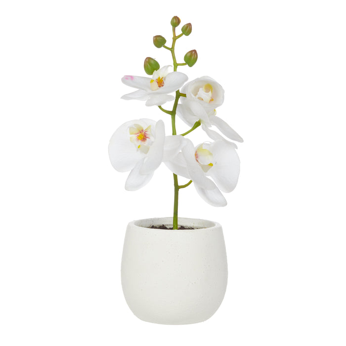 Rogue Orchid Stem - Tub Pot White & White