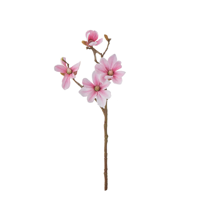 Rogue Mini Magnolia Spray Pink