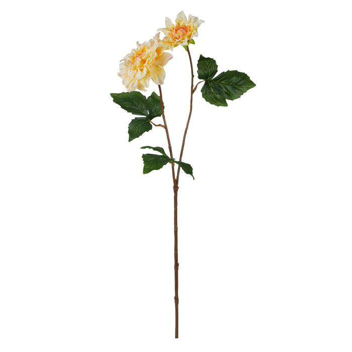 Rogue Dahlia Bud Stem Yellow