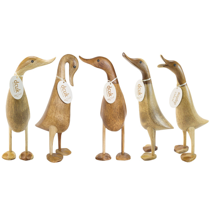 DCUK Natural Wooden Ducklet 5 Assorted