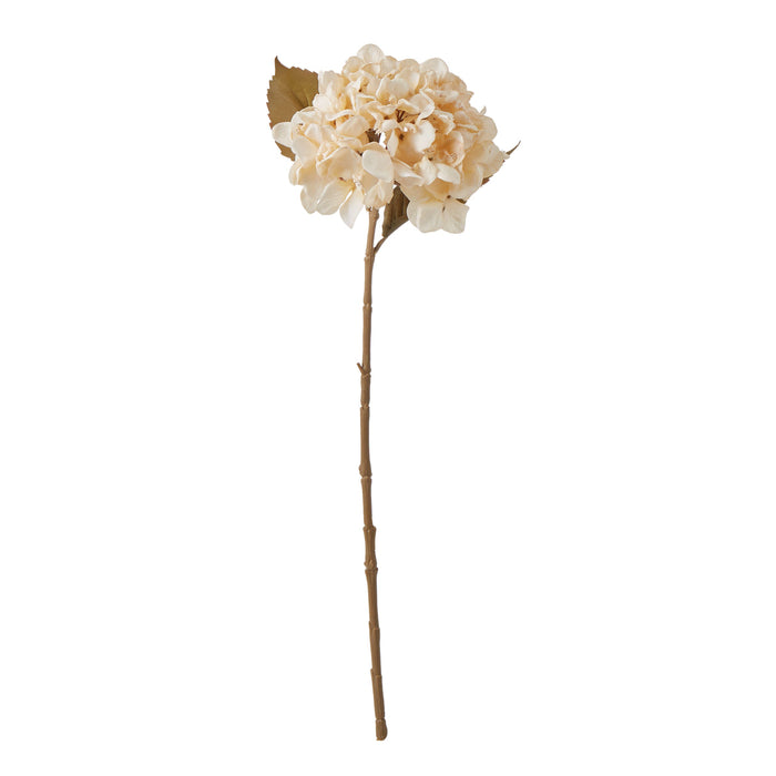 Rogue Hydrangea Stem Cream