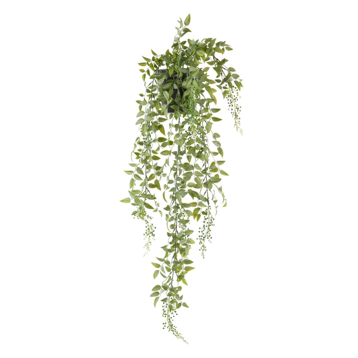 Rogue Budding Hanging Bush - Garden Pot Green & White