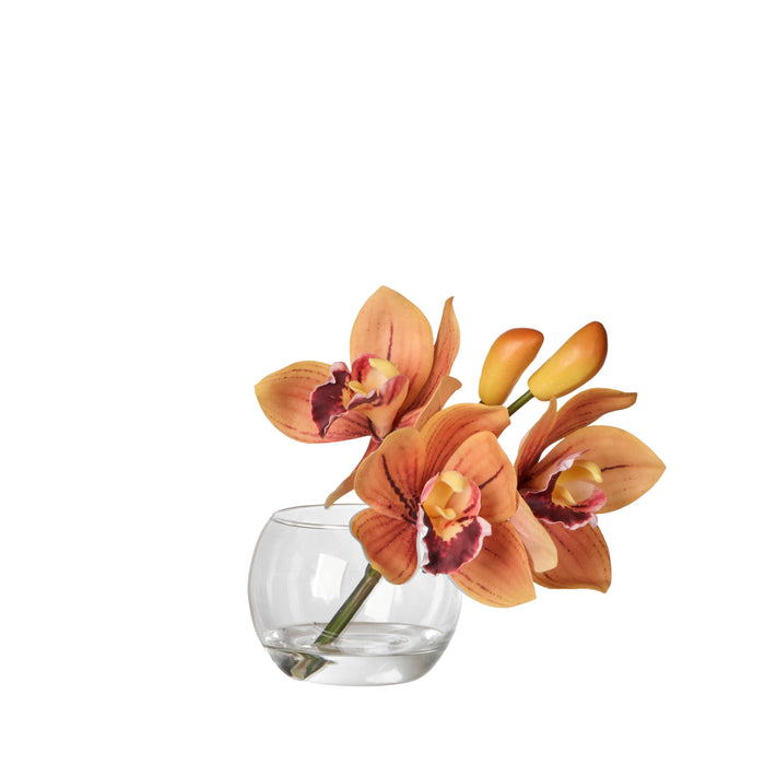 Rogue Cymbidium-Glass Vase Orange