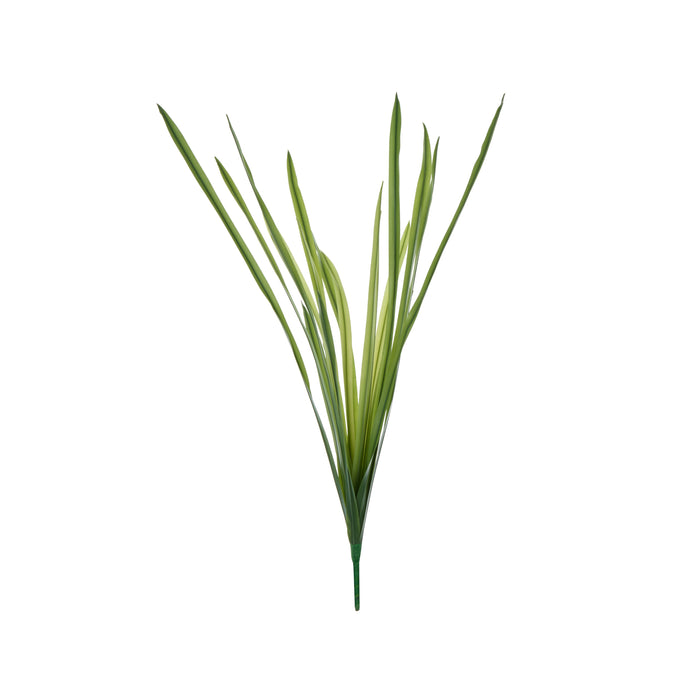 Rogue Grass Plant Spray Green