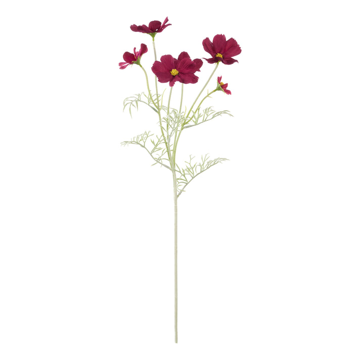 Rogue Cosmos Flower Spray Burgundy