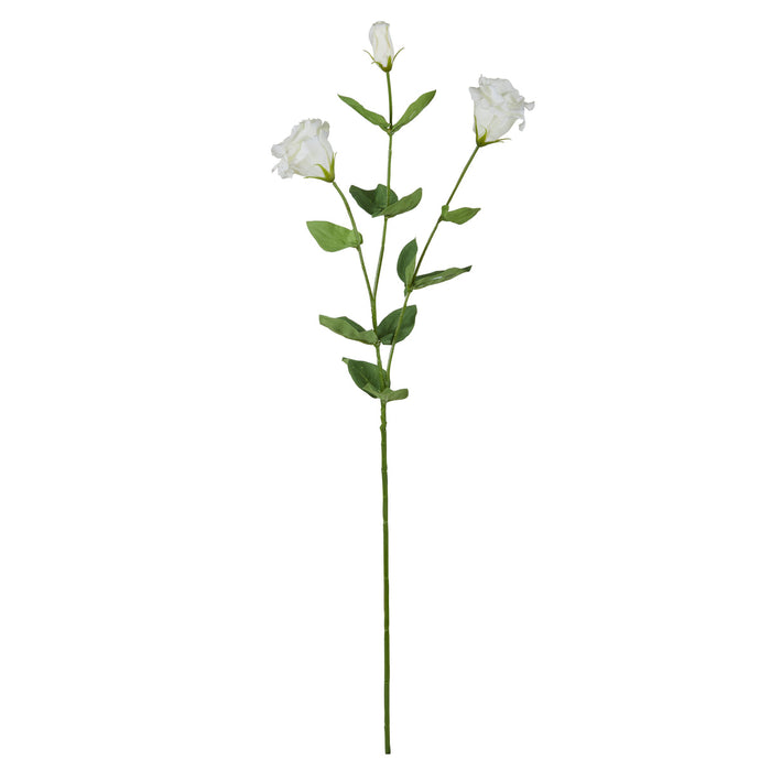 Rogue Lisianthus Stem White