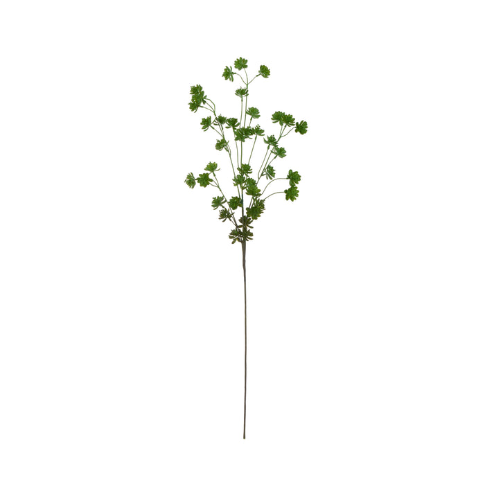 Rogue Succulent Spray Green