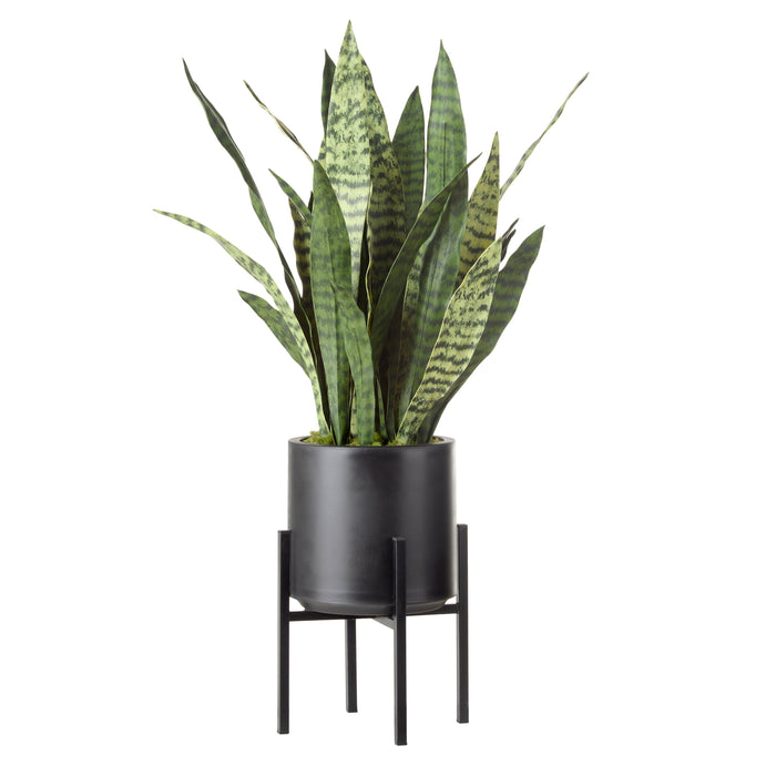 Rogue Sansevieria Plant Stand Green
