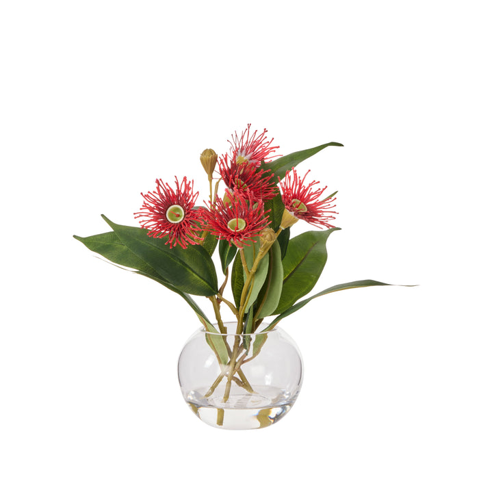 Rogue Flowering Eucalyptus - Sphere Red & Green