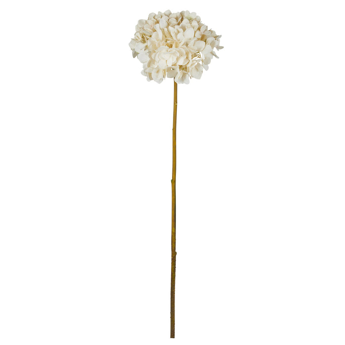 Rogue Grand Hydrangea Stem Cream