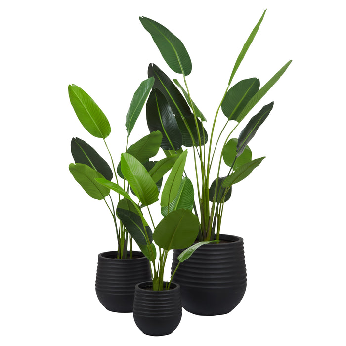 Rogue Bird Of Paradise - Ryker Planter 3pcs Set