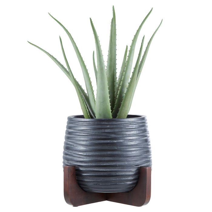 Rogue & Academy Aloe Plant - Keanu Planter Green & Black