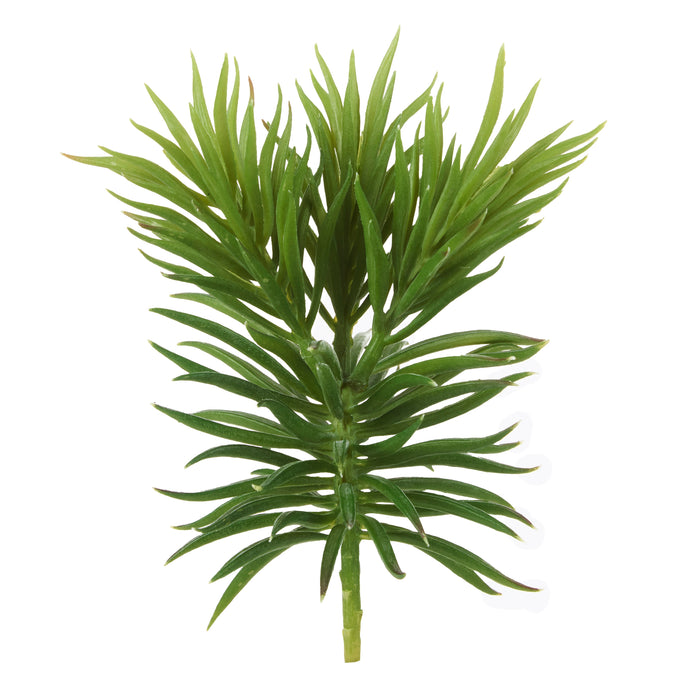 Rogue Mini Pine Tree Green