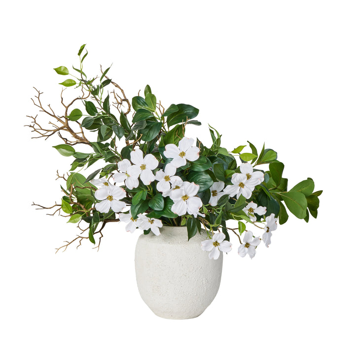 Rogue Dogwood Ficus Mix - Lanah White & Green
