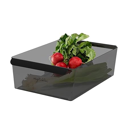 WIDE DEEP BIN 36.2 X 22.9 X 10.5CM CARBON