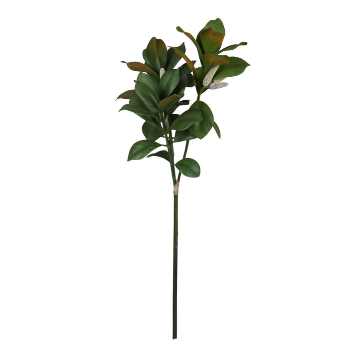 Rogue Magnolia Leaf Spray Green