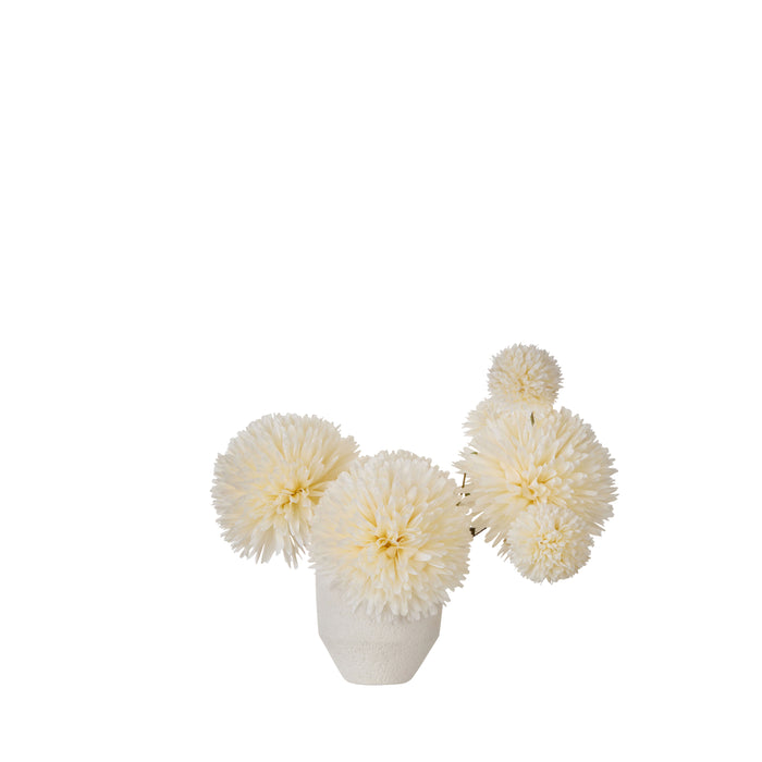 Rogue Kiku Delos Vase Ivory
