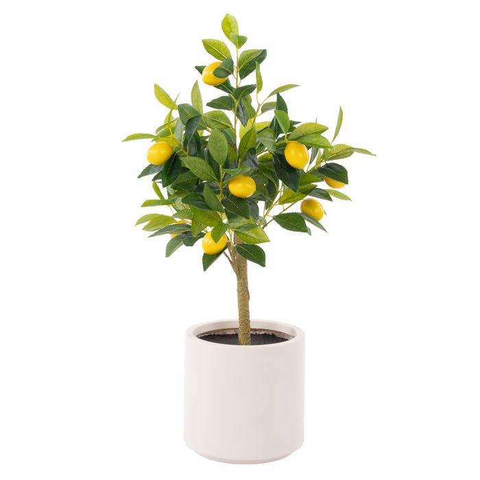 Rogue Lemon Tree Pot Green