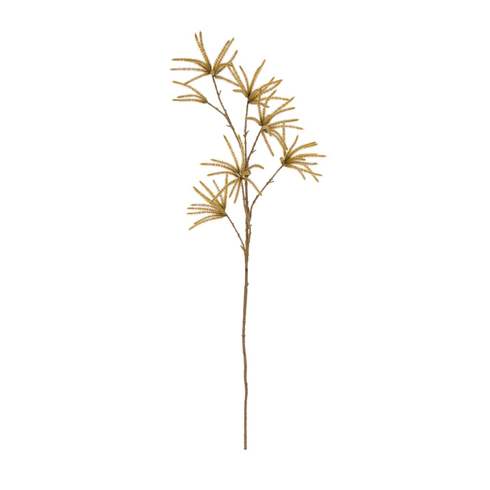 Rogue Catkin Spray Yellow