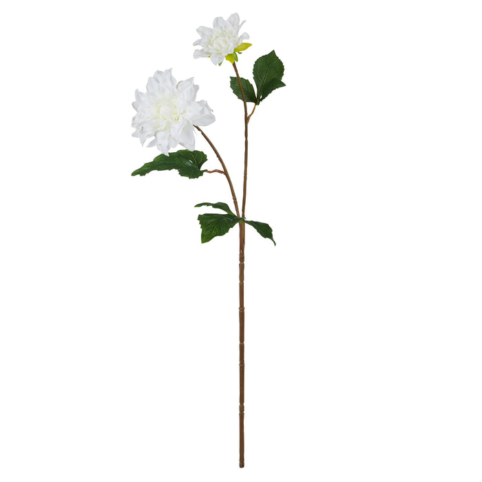 Rogue Dahlia Bud Stem White