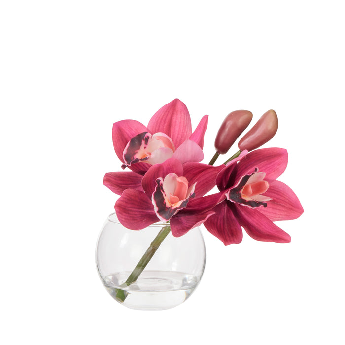Rogue Cymbidium-Glass Vase Burgundy
