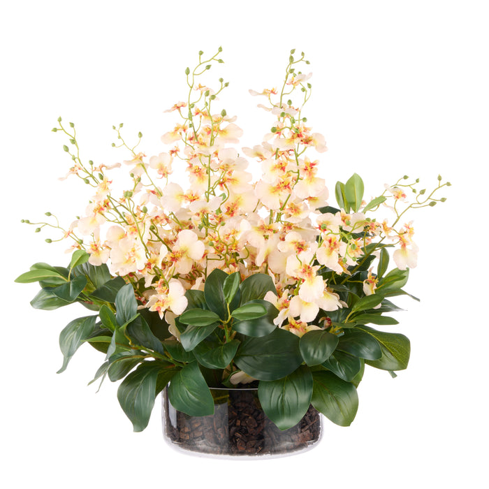 Rogue Dancing Orchid - Small Madelyn Bowl Cream