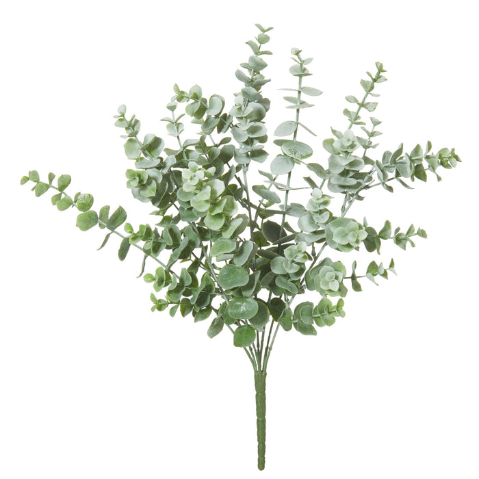 Rogue Eucalyptus Bush Grey Green