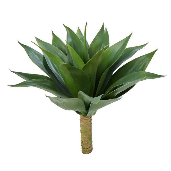 Rogue Agave Green