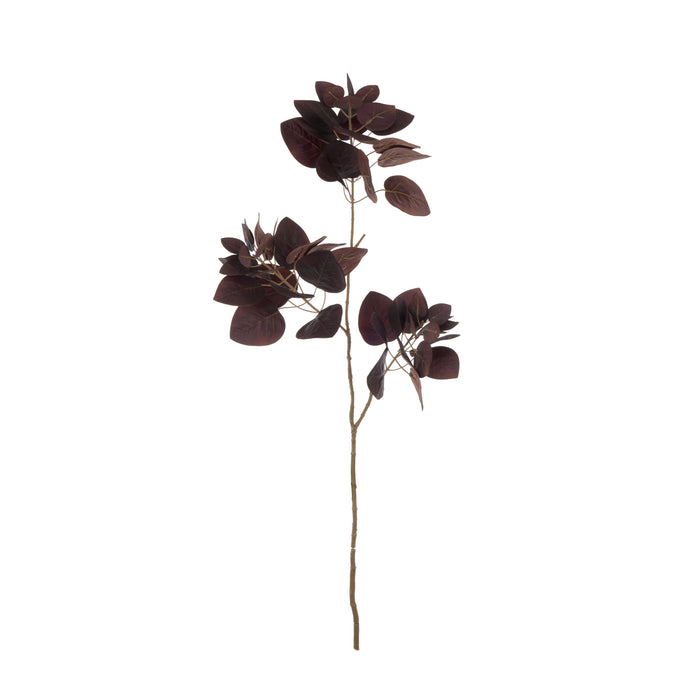 Rogue Smoke Bush Spray Burgundy
