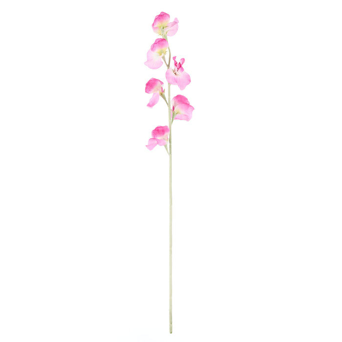 Rogue Sweet Pea Spray Purple