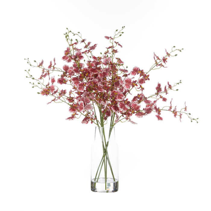 Rogue Dancing Orchid - Rachel Vase Burgundy & Clear