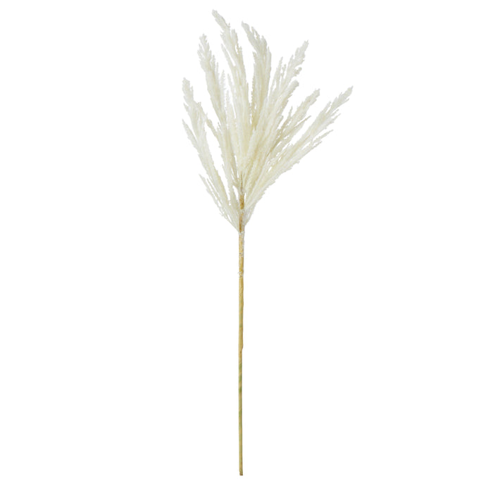 Rogue Pampas Spray Cream