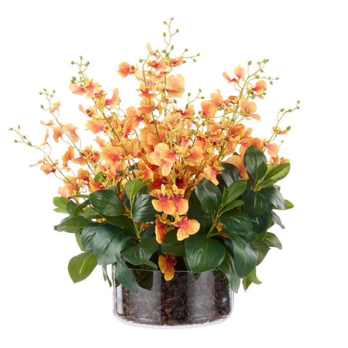 Rogue Dancing Orchid - Smalll Madelyn Bowl Orange