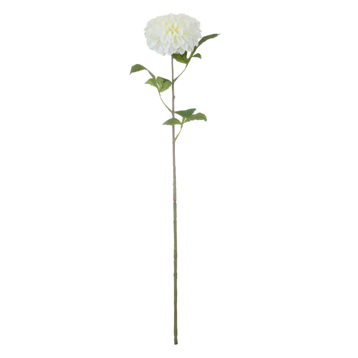 Rogue Chrysanthemum Stem White