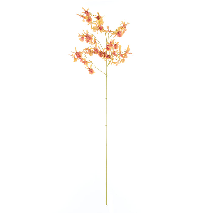 Rogue Dendrobium Orchid Stem Orange