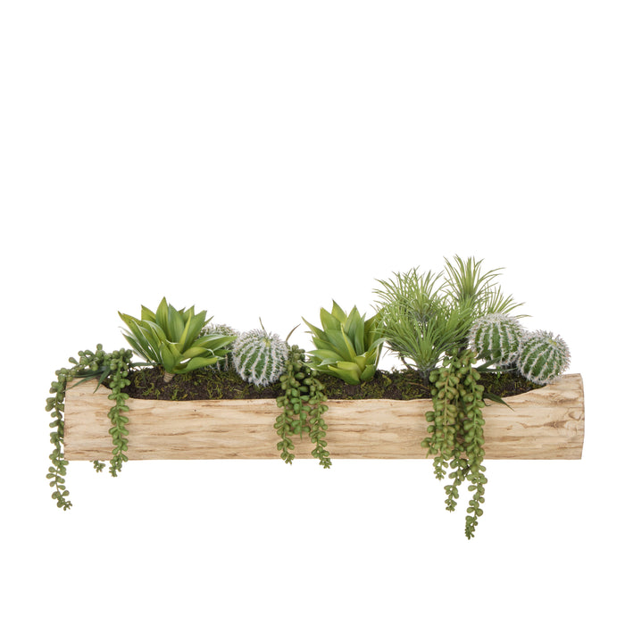 Rogue Cactus Airplant Mix - Timber Planter Green & Natural