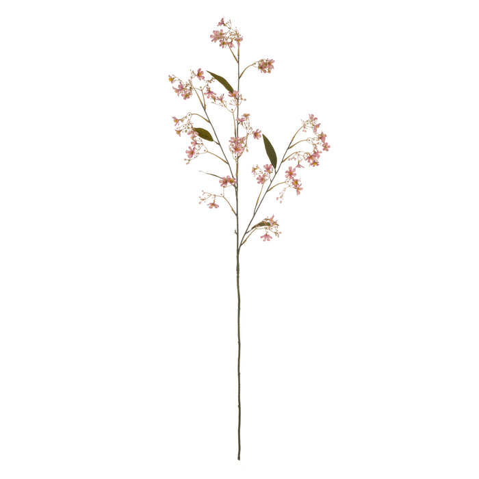 Rogue Daphne Spray Pink