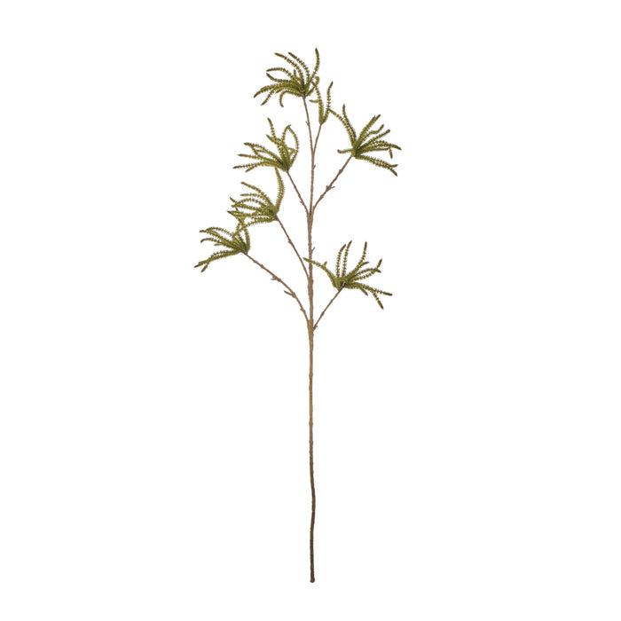 Rogue Catkin Spray Green