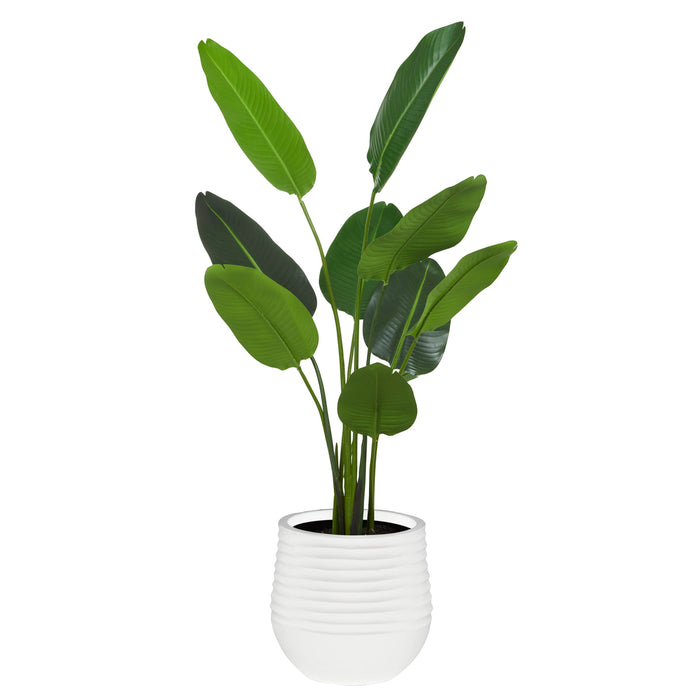 Rogue Bird Of Paradise - Ryker Planter Medium Green & White