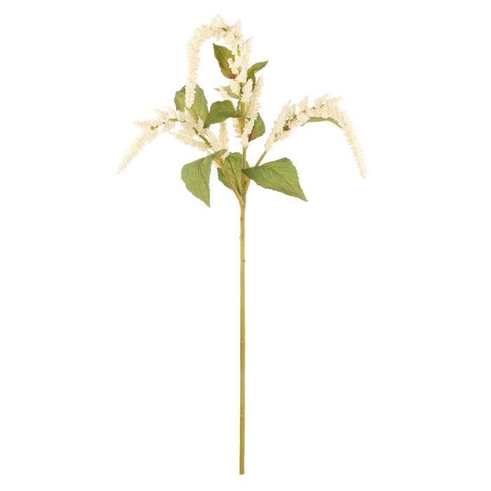 Rogue Amaranthus Hanging Spray White