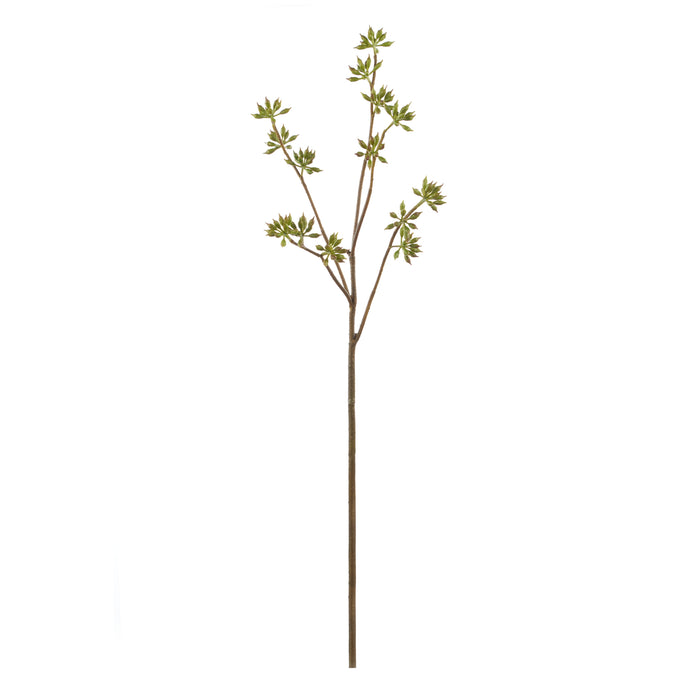 Rogue Eucalyptus Seeding Spray Green