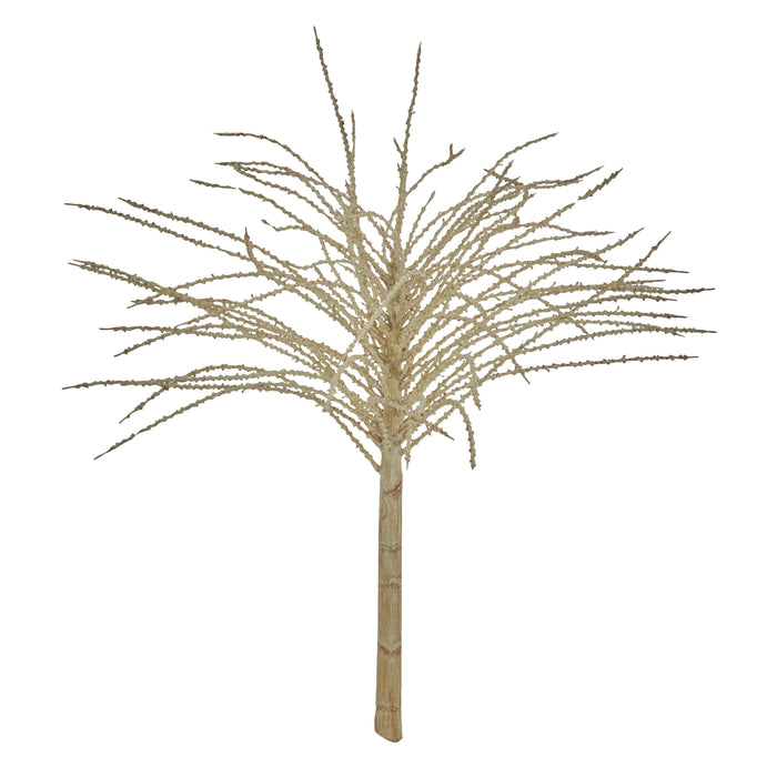 Rogue Alexander Palm Leaf Spray Cream