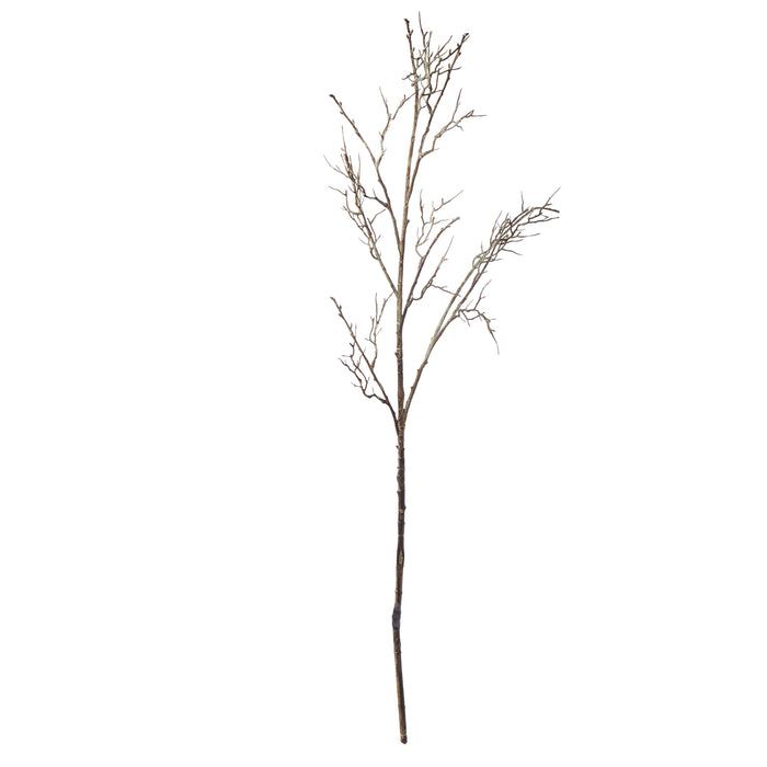 Rogue Twig Branch Brown