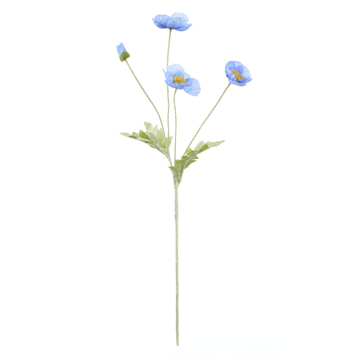 Rogue Poppy Spray Blue